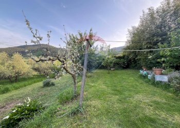 Giardino - Villa Capannori - foto 88