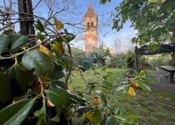 Giardino - Villa Capannori - foto 95