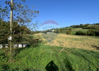 terreno - Terreno agricolo strada del cossano
 
6, Sala Baganza - foto 4