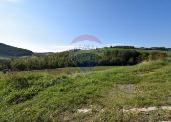 Vista delle montagne - Terreno agricolo strada del cossano
 
6, Sala Baganza - foto 6