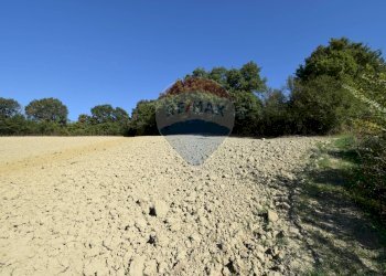 terreno - Terreno agricolo strada del cossano
 
6, Sala Baganza - foto 8