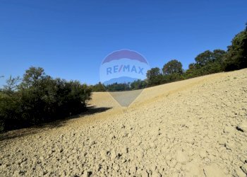 terreno - Terreno agricolo strada del cossano
 
6, Sala Baganza - foto 9