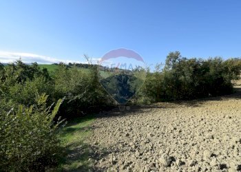 terreno - Terreno agricolo strada del cossano
 
6, Sala Baganza - foto 10