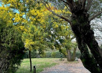 Giardino - Villa contrada castello
 
17, Patrica - photo 27