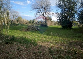 Giardino - Casa indipendente Santi Cosma e Damiano - foto 14