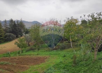 Giardino - Rustic Contrada Feudo, Bucchianico - photo 6