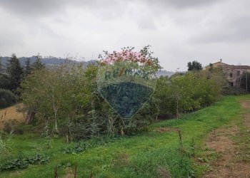 Giardino - Rustic Contrada Feudo, Bucchianico - photo 7