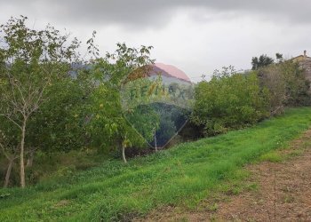 Giardino - Rustic Contrada Feudo, Bucchianico - photo 8