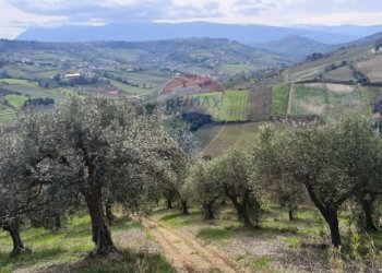 Vista delle montagne - Terreno agricolo Strada Vicinale Santo Stefano, Ripa Teatina - foto 6