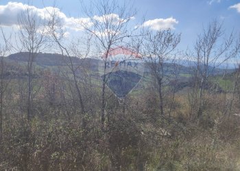 Vista delle montagne - Terreno agricolo Strada Vicinale Santo Stefano, Ripa Teatina - foto 8