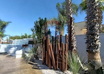 Terrazza - Villa Via Paolo Ancora
 
36, San Pietro Vernotico - foto 58