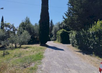 Foto 3 - Casa indipendente Via Cusignano, San Miniato - foto 3