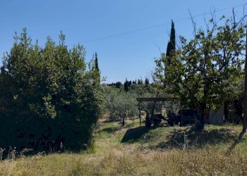 Foto 12 - Casa indipendente Via Cusignano, San Miniato - foto 12