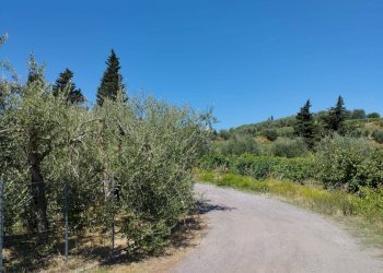 Foto 14 - Casa indipendente Via Cusignano, San Miniato - foto 14