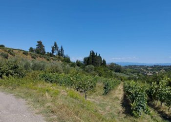 Foto 17 - Casa indipendente Via Cusignano, San Miniato - foto 17