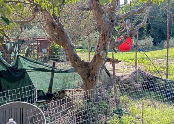 Foto 16 - Quadrilocale via Solferino, Pontedera - foto 16