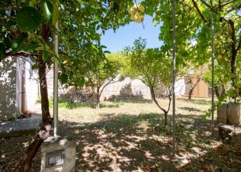 Foto 17 - Cantina / Solaio Via Mazzini
 
16, Sorso - foto 17