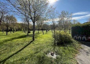 Terreno - Villa Regione Rezzinara, 4, Bistagno - foto 22