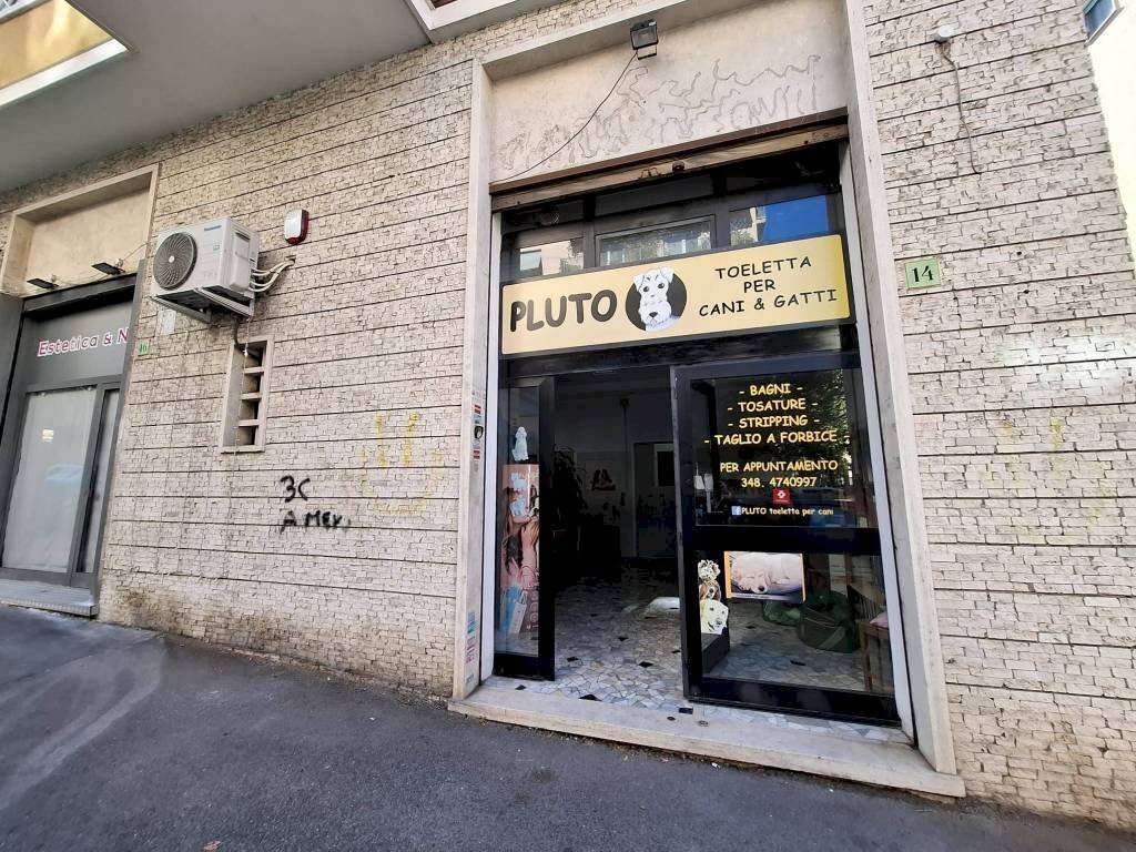 Zona - Negozio via Ferdinando Gregorovius, 14, Roma - foto 3