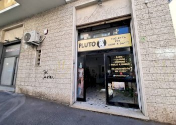 Zona - Shop via Ferdinando Gregorovius, 14, Roma - photo 2