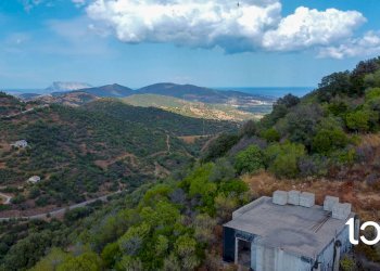 Terreno edificabile Torpè - foto 3