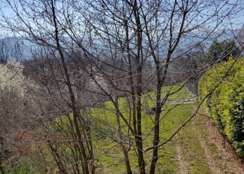 Villa Bagnolo Piemonte - foto 8