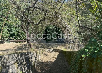 Villa Borgo a Mozzano - foto 40