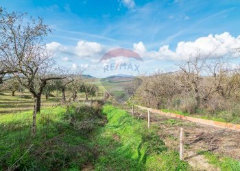 Vista delle montagne - Villa Contrada Colla
 
snc, Piazza Armerina - foto 20
