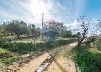 Giardino - Villa Contrada Colla
 
snc, Piazza Armerina - foto 21
