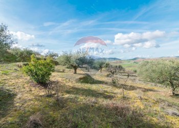 Vista delle montagne - Villa Contrada Colla
 
snc, Piazza Armerina - foto 22