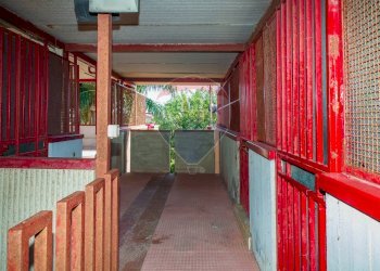 Terrazza - Trilocale Via Spiaggia
 
359, Mascali - foto 26