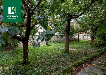 Foto 33 - Rustico Via XX Settemnre
 
19-21, Mirabello Monferrato - foto 33