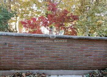 Foto 14 - Casa indipendente Viale G. Marconi, Sutri - foto 14