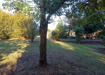 Giardino - Villa via Verdeta, Bomporto - foto 3