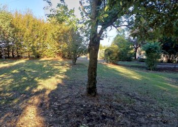 Giardino - Villa via Verdeta, Bomporto - foto 29