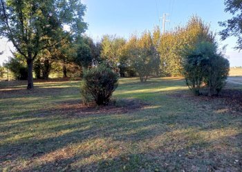 Terreno - Villa via Verdeta, Bomporto - foto 33