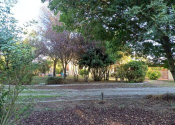 Giardino - Villa via Verdeta, Bomporto - foto 34