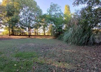 Terreno - Villa via Verdeta, Bomporto - foto 41