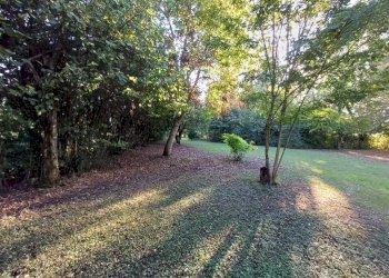 Giardino - Villa via Verdeta, Bomporto - foto 42