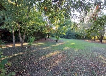 Giardino - Villa via Verdeta, Bomporto - foto 43