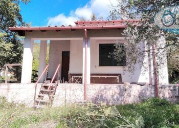 Foto 3 - Villa Via Viterbo
 
50, Manziana - foto 3