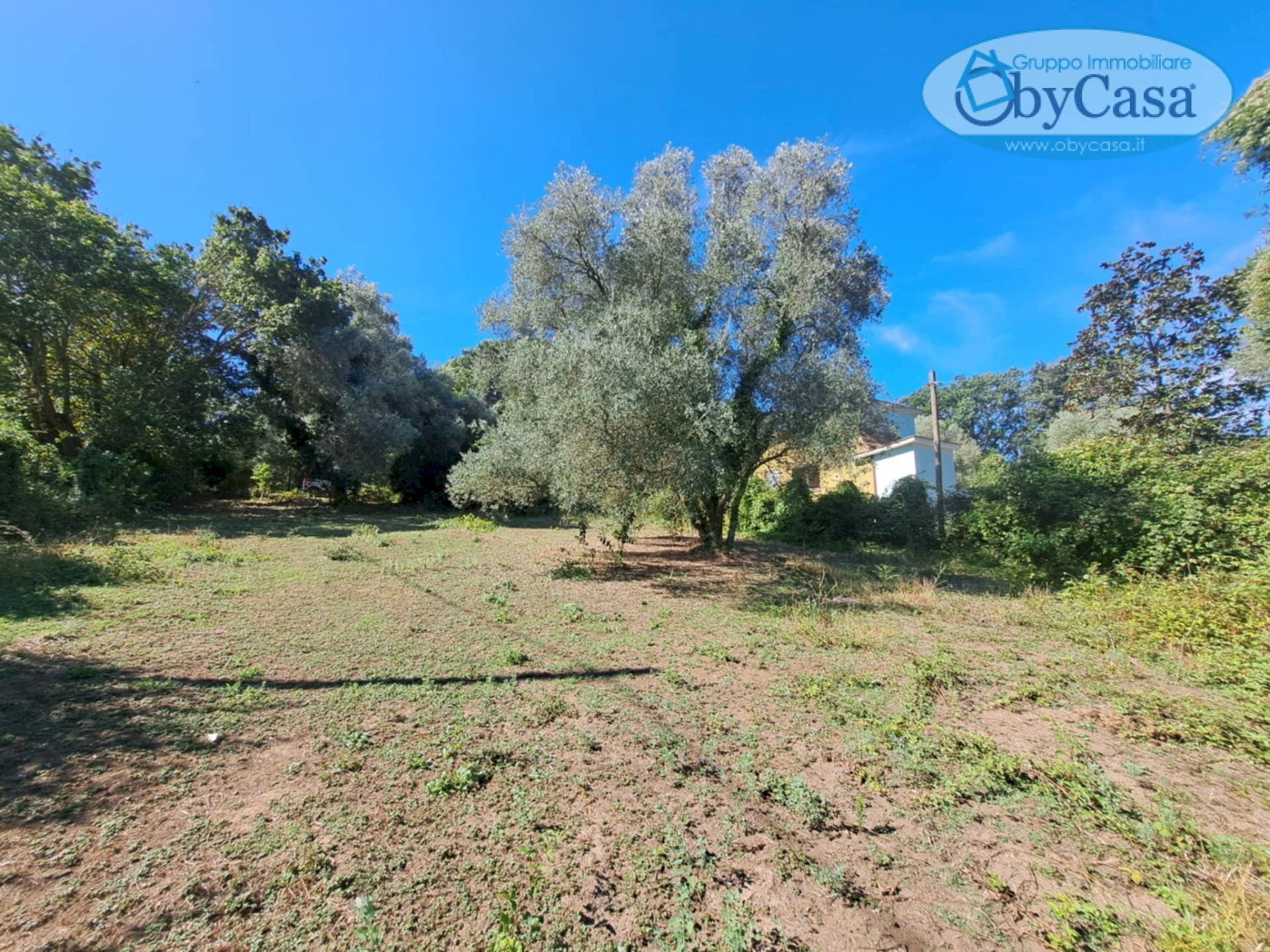 Foto 3 - Agricultural land Via dell'Agrifoglio, Manziana - photo 3