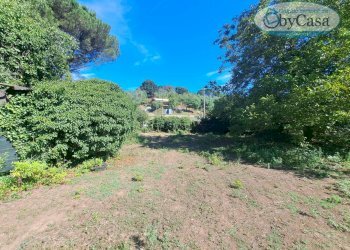 Foto 1 - Terreno agricolo Via dell'Agrifoglio, Manziana - foto 1