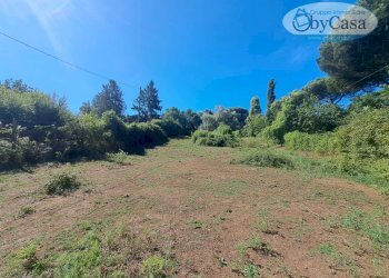 Foto 2 - Terreno agricolo Via dell'Agrifoglio, Manziana - foto 2