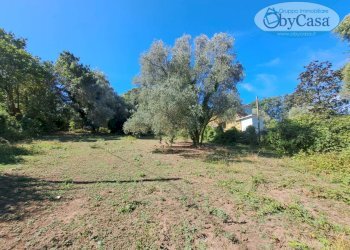 Foto 3 - Terreno agricolo Via dell'Agrifoglio, Manziana - foto 3