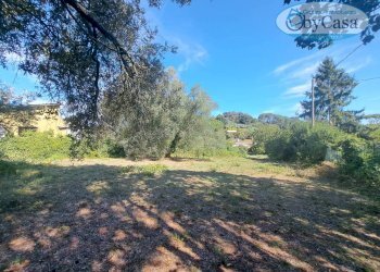 Foto 4 - Terreno agricolo Via dell'Agrifoglio, Manziana - foto 4