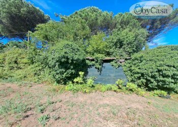 Foto 5 - Terreno agricolo Via dell'Agrifoglio, Manziana - foto 5