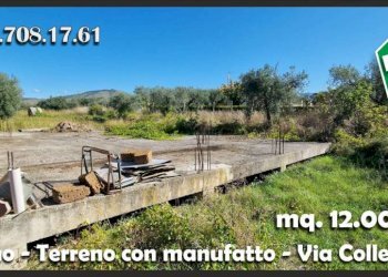 Terreno - Terreno agricolo via Colle Fattore, Gallicano nel Lazio - foto 5