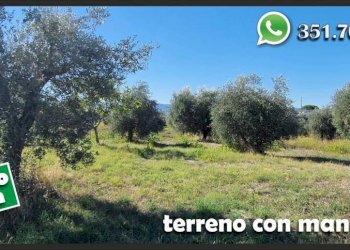 Terreno - Terreno agricolo via Colle Fattore, Gallicano nel Lazio - foto 7