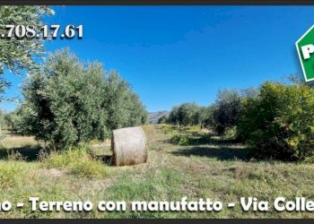 Terreno - Terreno agricolo via Colle Fattore, Gallicano nel Lazio - foto 8